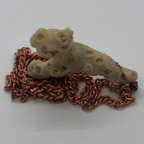 Coral on Copper Wire